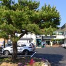 초전면사무소 이미지