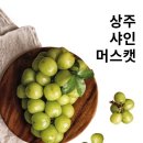 강남청과 - 부천시 원미구 옥산로154번길 20 | 강남청과