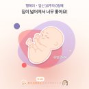 임신 일기) 행복이와의 16주차~17주차
