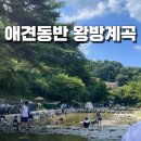 샘터농원 | [공지] 애견동반 가능한 왕방계곡 후기 주차꿀팁 샘터농원근처