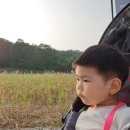 루지보쌈