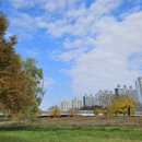 동림동 산동교 하부 이미지