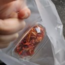 원더풀3 | 평촌학원가 맛집 원더풀 보쌈 안양평촌 본점 내돈내산 후기