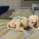 채선농장 이미지