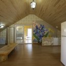 백향목숲휴양림 이미지