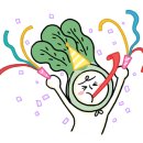 가야해중식 이미지