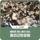 중리동로 이미지