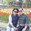 운중동 383 이미지