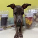 똘멍이네 이미지