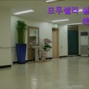 므두셀라실버타운 | {서울, 실버타운, 요양센터, 추천!} 므두셀라 실버센터 믿고 맡길 수 있는 요양센터