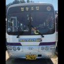 연합카써비스 | [울릉도 독도여행] 1. 울릉도 독도 대가족 패키지 여행 내돈내산 후기 시작!