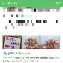 네일플루디 이미지