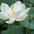 죽변등대공원 이미지