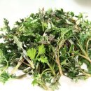 참빛한의원 이미지