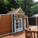 청춘양구 소양호 뱃길 나루터 연합뉴스