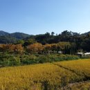 장동주민센터 이미지