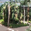 (거제여행)국내 유일의 독특한 열대식물원인 거제식물원 정글돔(2020.11.3) 이미지