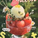 브루다 양주 이미지