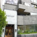 부산강아지분양 미유펫 이미지