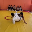 디케이 짐 이미지