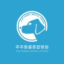 주주종합동물병원 이미지