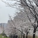 우시장천 이미지