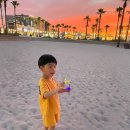 (주)제주협재콘도미니엄 | 제주 김녕해수욕장 함덕해수욕장 협재해수욕장 장단점 비교