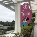 디즈니랜드ㅣ생일기념 디즈니랜드 캘리포니아 어드벤처 Disney Land California Adventrue!