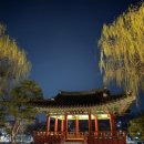 중리천로113번길 이미지