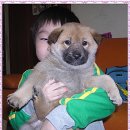 황금방 Daum카페