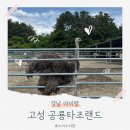 공룡커피 | 경남 아이랑 가볼만한곳 색다른 이색동물 카페 공룡타조랜드 체험후기