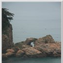 육천사