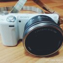 원동닭집 | 매화축제가 열리는 양산 원동의 순매원 나들이♬