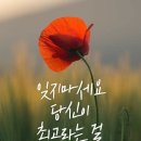 ◆생각이 많으면 신경이 약해지고◆ 이미지