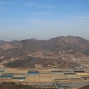 보리촌