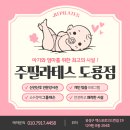 [도룡동 필라테스] 산전산후 관리 고민되신다면 주필라테스 도룡점으로 오세요 ~