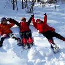 삼둔사가리 이미지