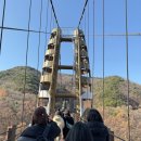 좌구산 천문대 | [웰니스in충북] 증평 원데이 웰니스 체험 후기 - 좌구산 자연휴양림·천문대 관람·꽃차 체험