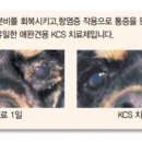 서울수유동물약국 이미지