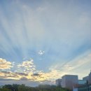 아르피아 이미지