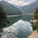 대물낚시 | 🎣 일본 배스 낚시 명소 TOP7｜초보도 대물 잡는 포인트 (2026 최신)