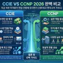 시니어 영어 심화 | CCIE vs CCNP 2026 완벽 비교 – 지금 어떤 자격증이 취업·연봉에 유리한가
