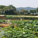 밀리터리테마파크 호국안보전시관 이미지