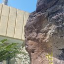 시니어 노래교실 이미지