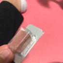 호원종합동물병원 네이버블로그