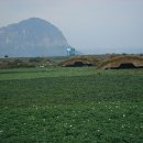 제주 모슬포 알뜨르 비행장 일제 지하벙커 이미지