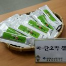 마젤리