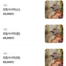 섬이자카야 이미지