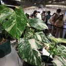 알기쉬운 부동산 재테크 자산관리 | 재테크 카페, 내 돈을 지키는 가장 쉬운 시작점