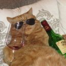 인동중앙로11길-1 이미지